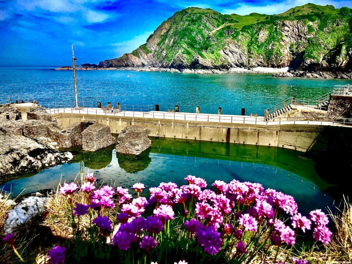 Palm Court B&B Ilfracombe Exterior foto